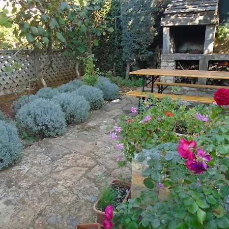 Maria Guest house