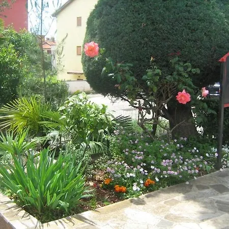 Maria Novigrad Istria